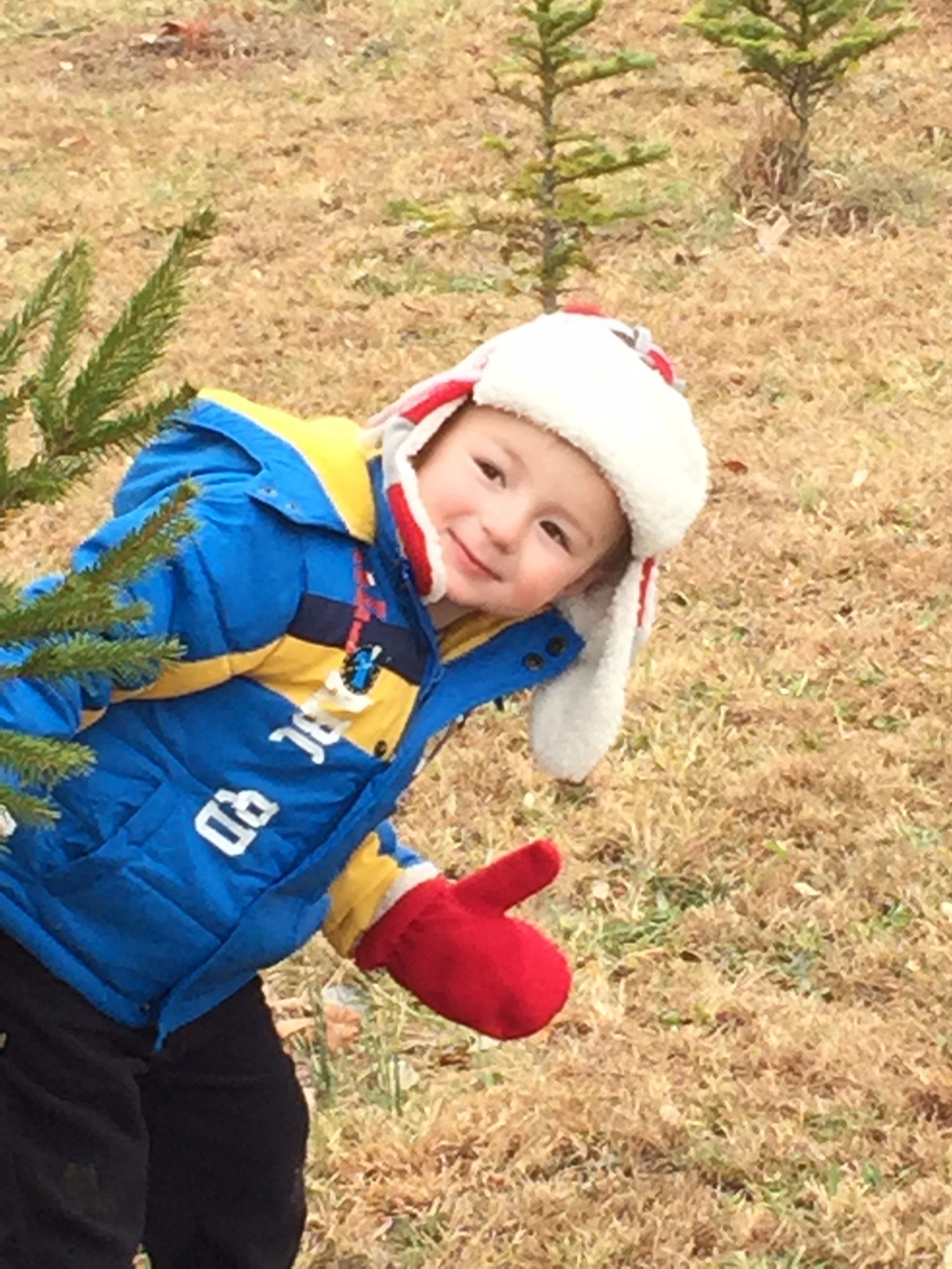 photo mosaic main source image