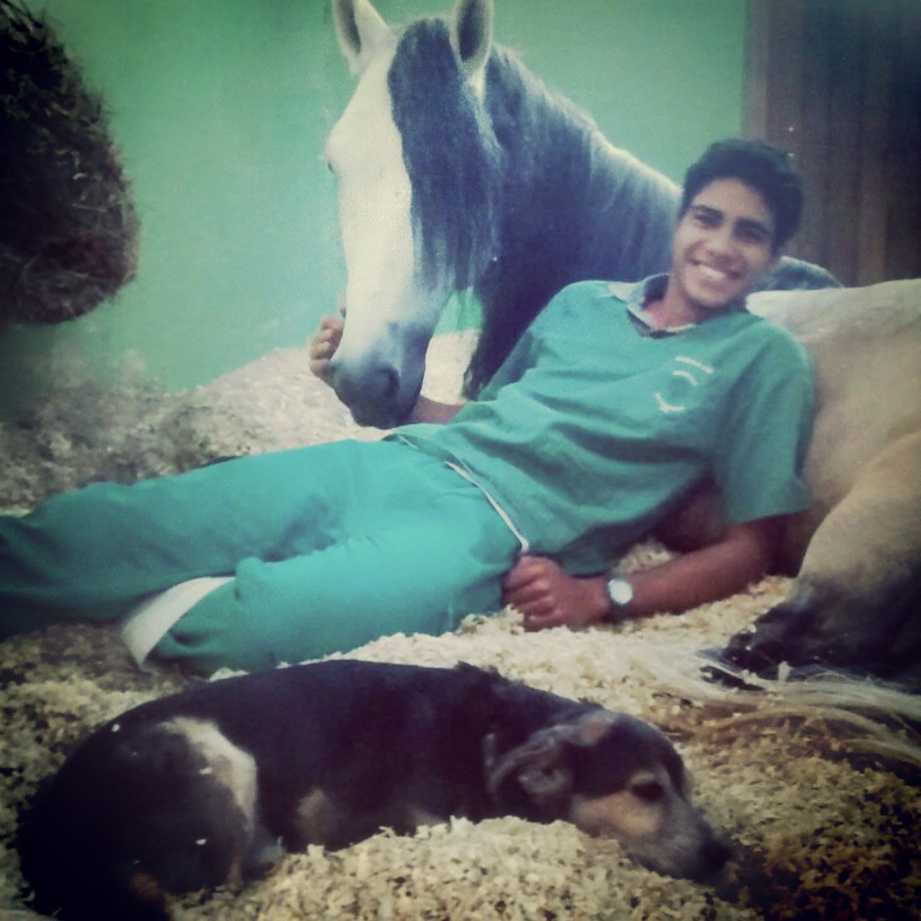 photo mosaic main source image