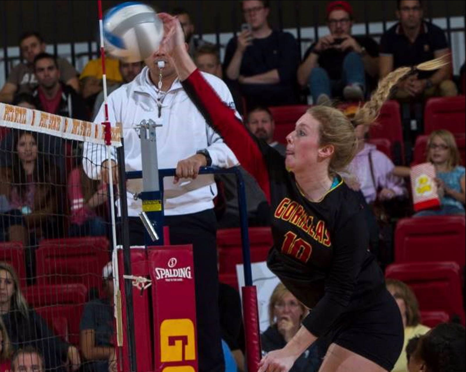 photo mosaic main source image