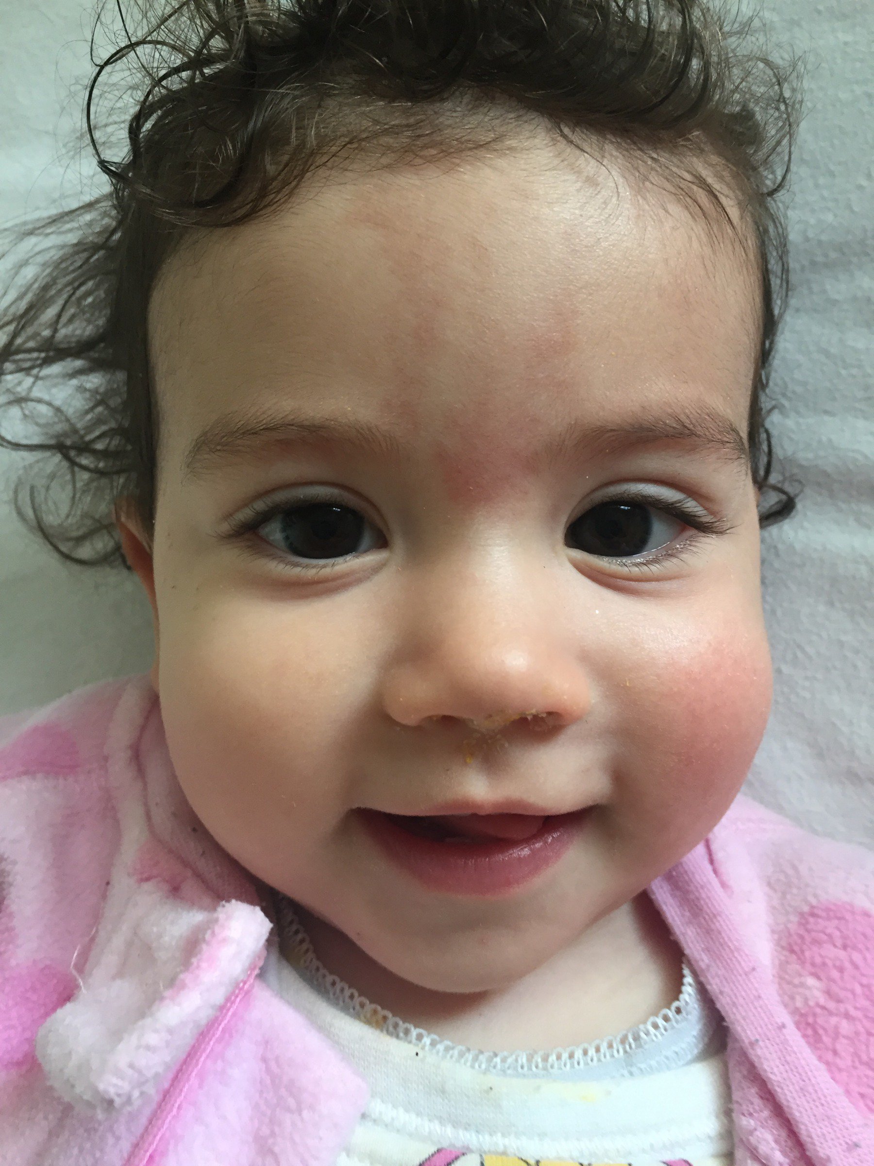 photo mosaic main source image