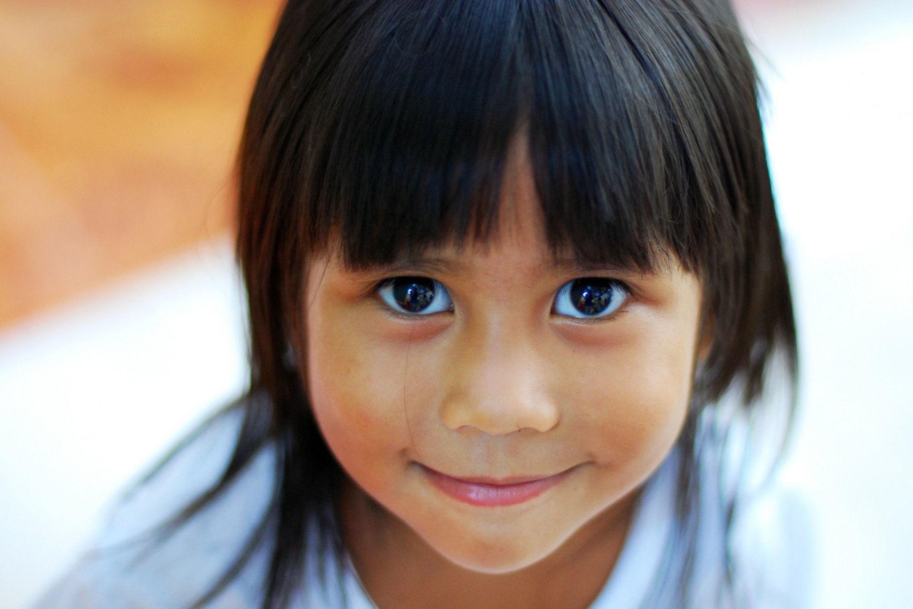 photo mosaic main source image