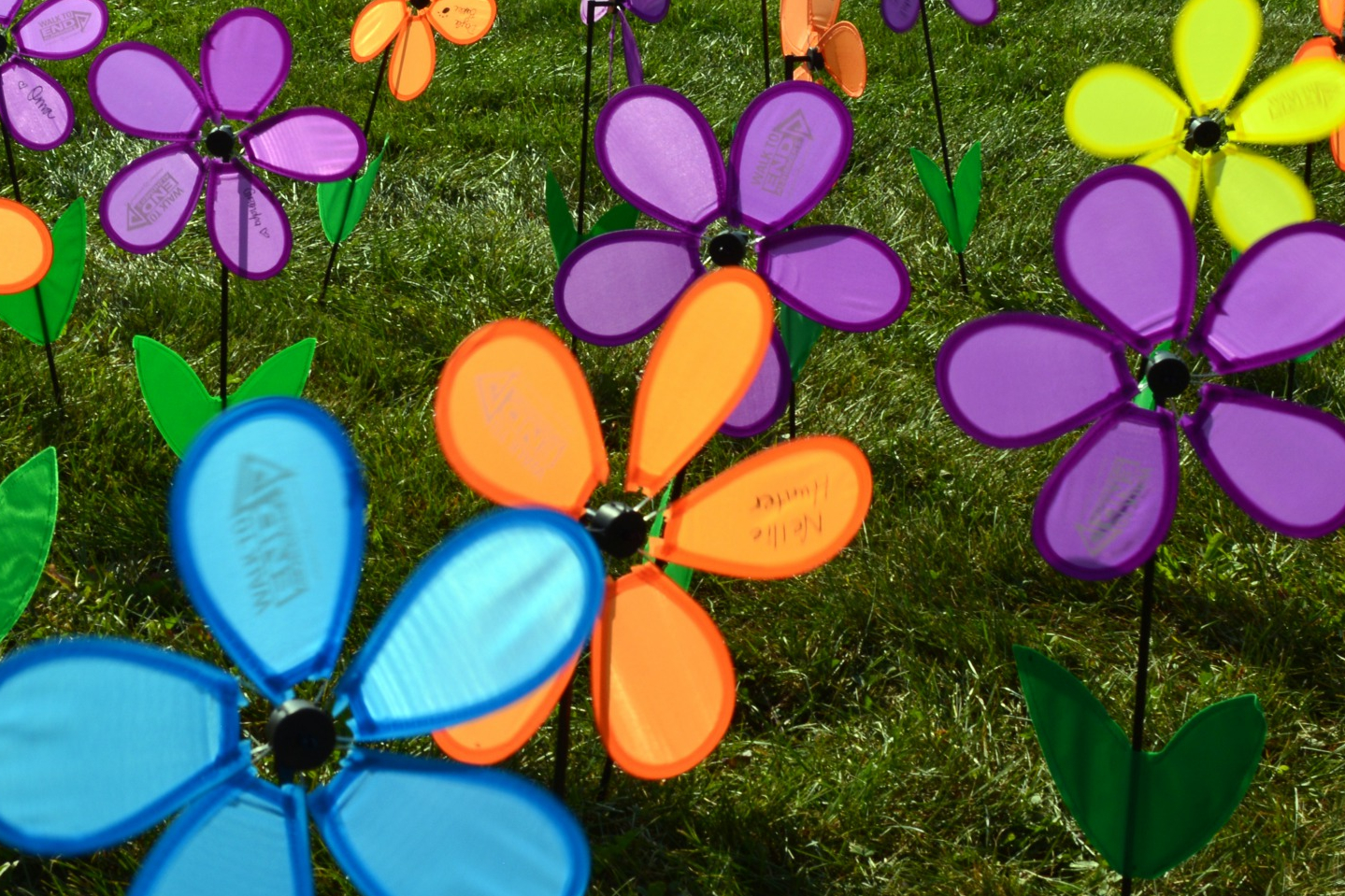 photo mosaic main source image