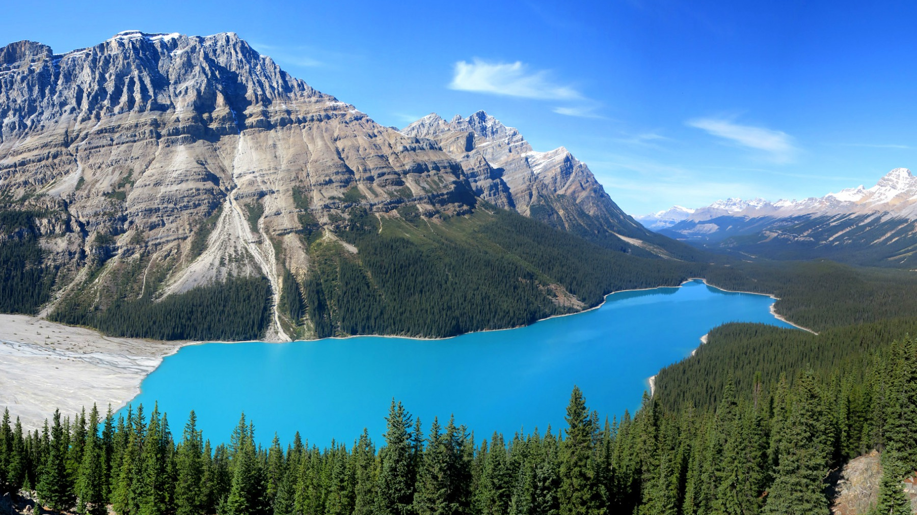 photo mosaic main source image