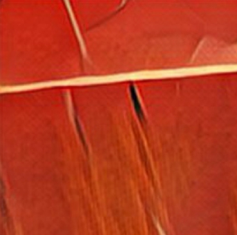 photo mosaic main source image